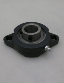 30094039 - BEARING FLANGE 3/4IN CAST IRON HOUSING SETSCREW 2 BOLT RELUBRICATABLE