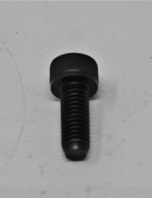 30160969 - FASTENER BOLT M6X1.0 X 16MM SHCS