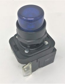 30179255 - SWITCH PUSH BUTTON 30MM ILLUMINATED BLUE 24VDC LED 1 N.O.-1 N.C. CONTACT BLOCK NEMA 4X
