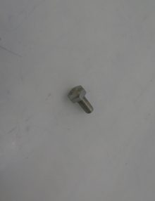 31000879 - FASTENER BOLT M4 X .7 X 10MM HEX HEAD