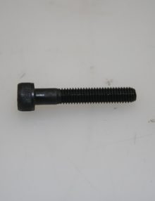 31003647 - FASTENER BOLT M5 X .8 X 30MM SOCKET CAP GRADE 8