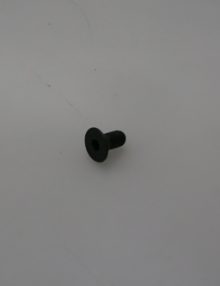31024892 - FASTENER BOLT M5X0.8 X 10MM FHCS