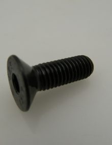 31024908 - FASTENER BOLT M8X1.25 X 25MM FHCS